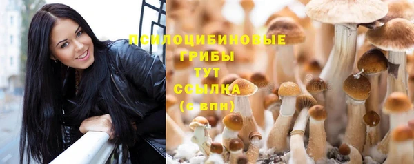 прущий лед Балахна