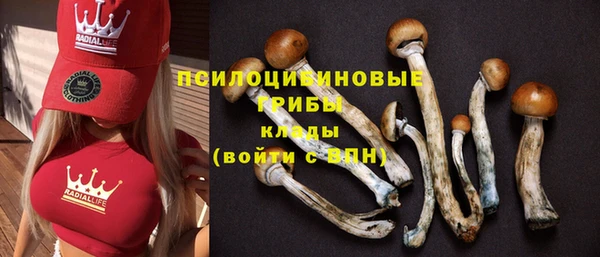 прущий лед Балахна